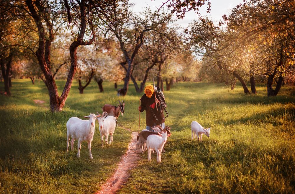 Дорога домой