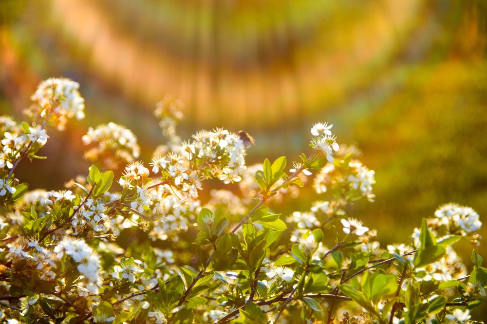 Принимая солнечные ванны