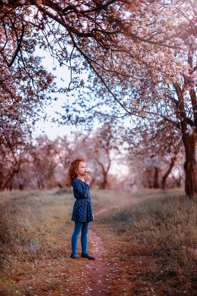 В цветущем саду