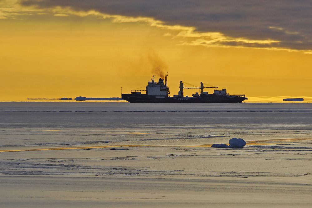 Во льдах Антарктиды