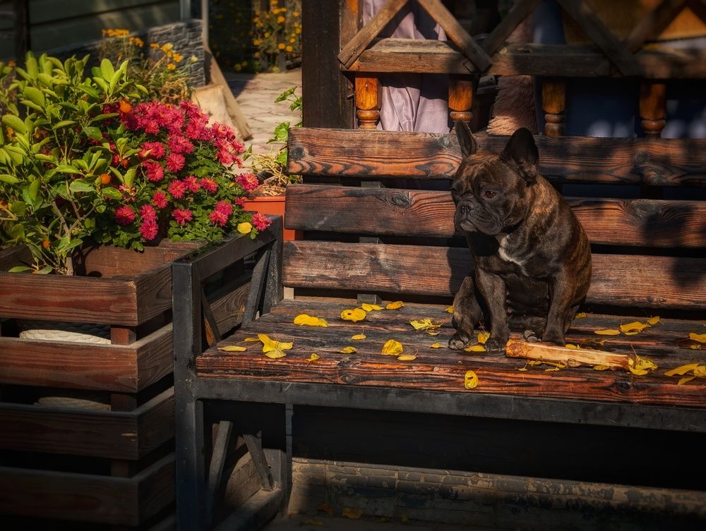 Photograph by Евгений Слепухин