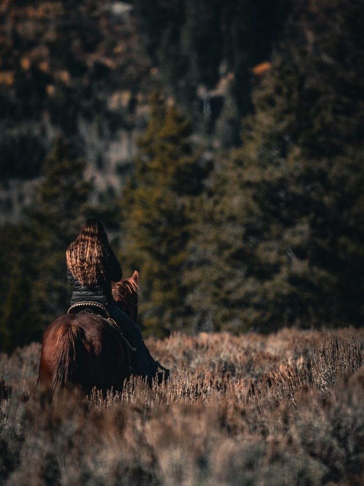 Photograph by Athul Konikkara