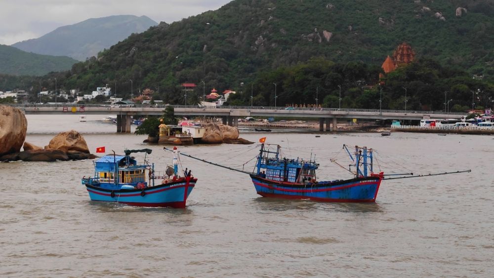 Фотография автора Лариса Катрашенко