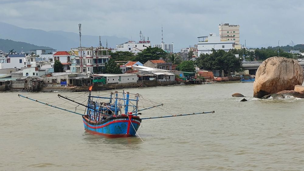 Фотография автора Лариса Катрашенко