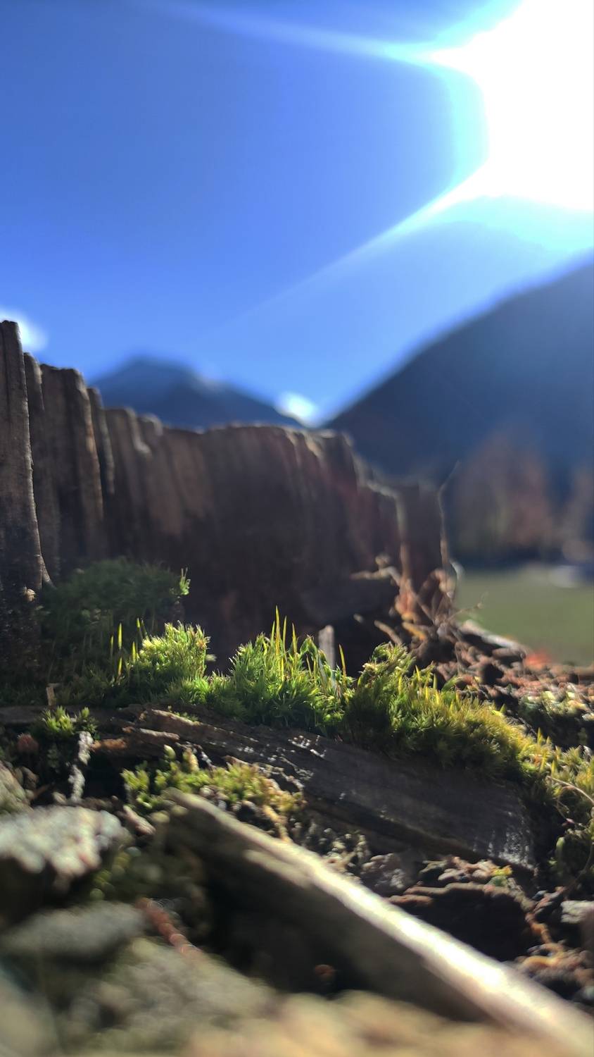 Малое в большом, большое в малом