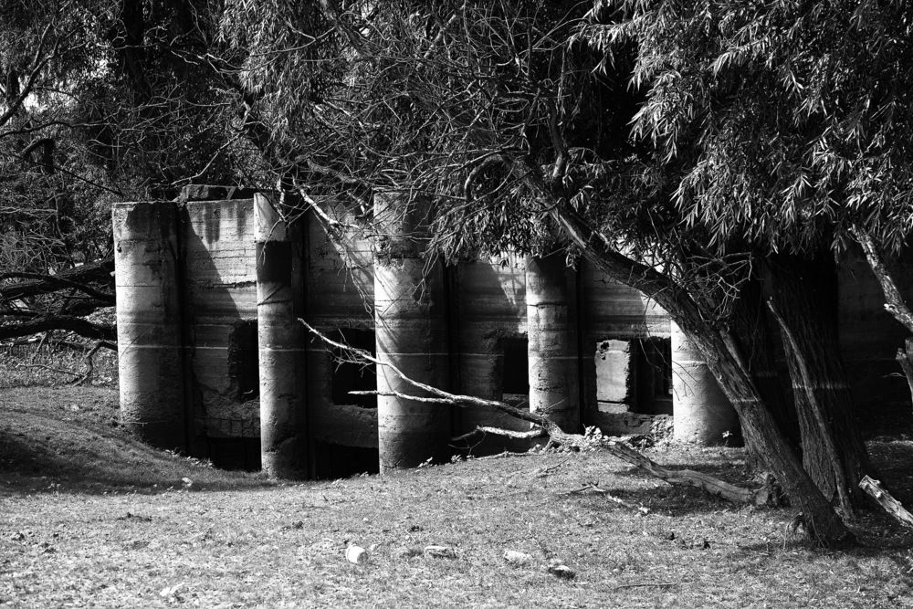 Фотография автора Татьяна Салиева