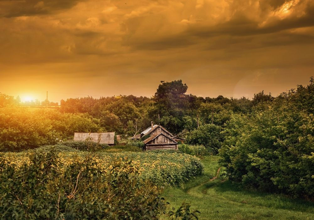 Photograph by Vladimir Frolov (1stMOD)