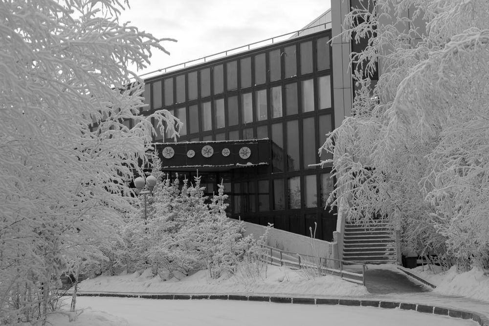 _Иней на ветвах.