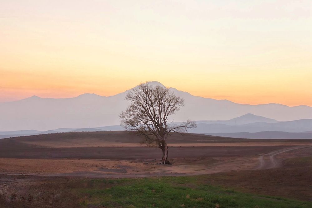 Photograph by Maghsoud Moradi