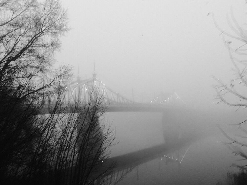 Photograph by Андрей Корякин