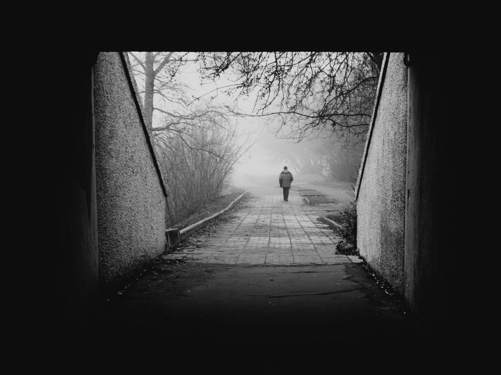 Photograph by Андрей Корякин