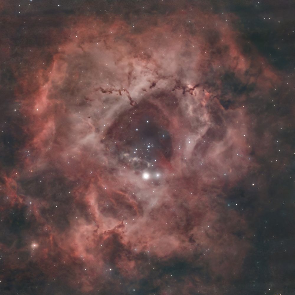 Photograph by Davide Torchia