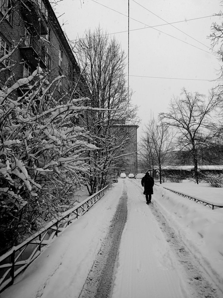 Photograph by Olga Kot