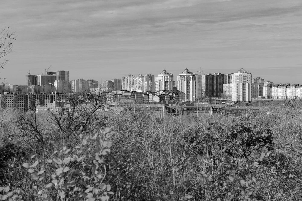 Photograph by Ирина Шибитова