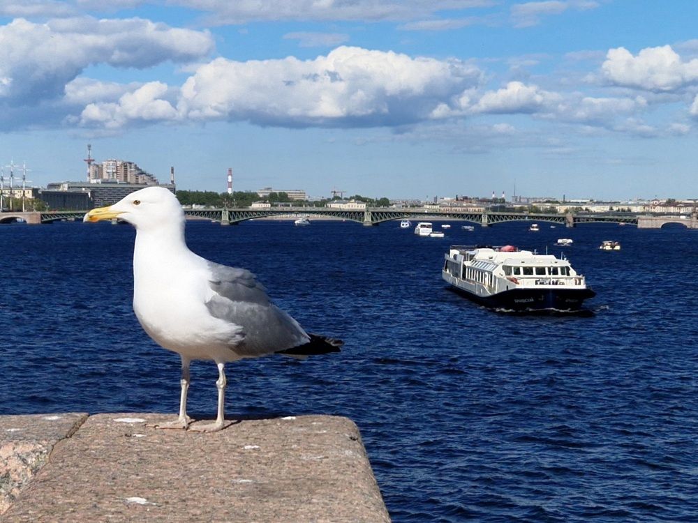 Photograph by Лариса Бурова