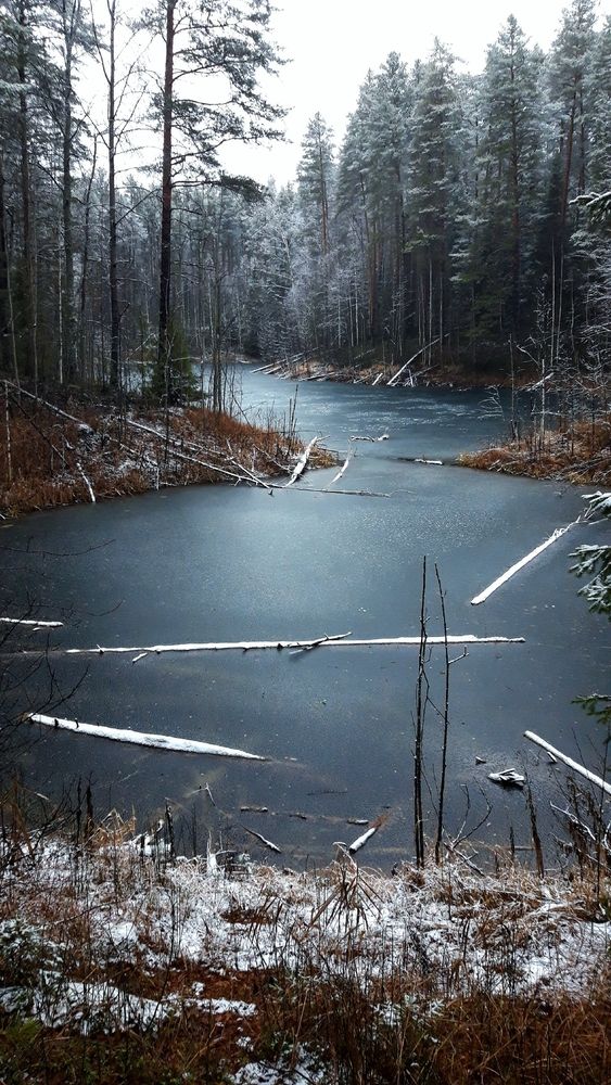 Photograph by Tatyana Busorgina