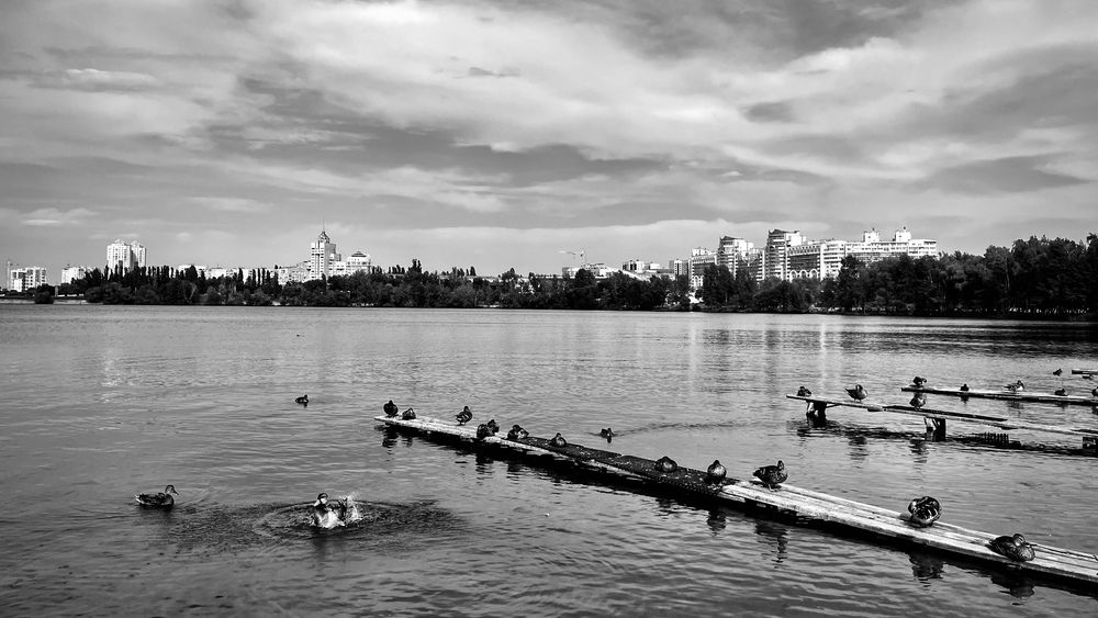 Photograph by Марина Козлова