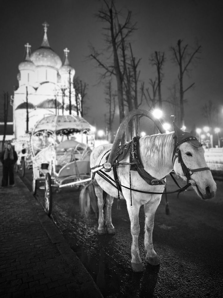 Photograph by Сергей Лабзин