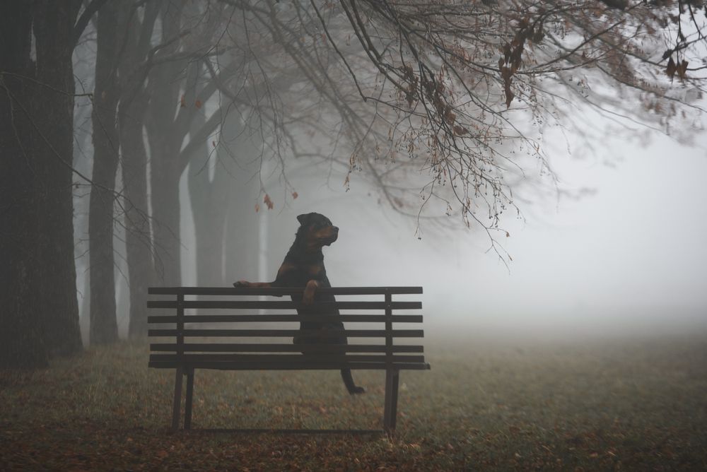 Photograph by Кудлай Яна