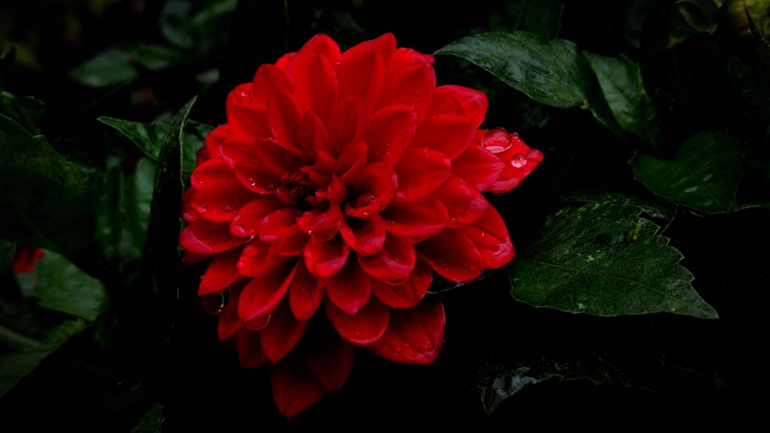 Фотография #12900943