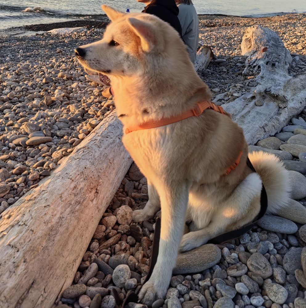 Photo #12900989