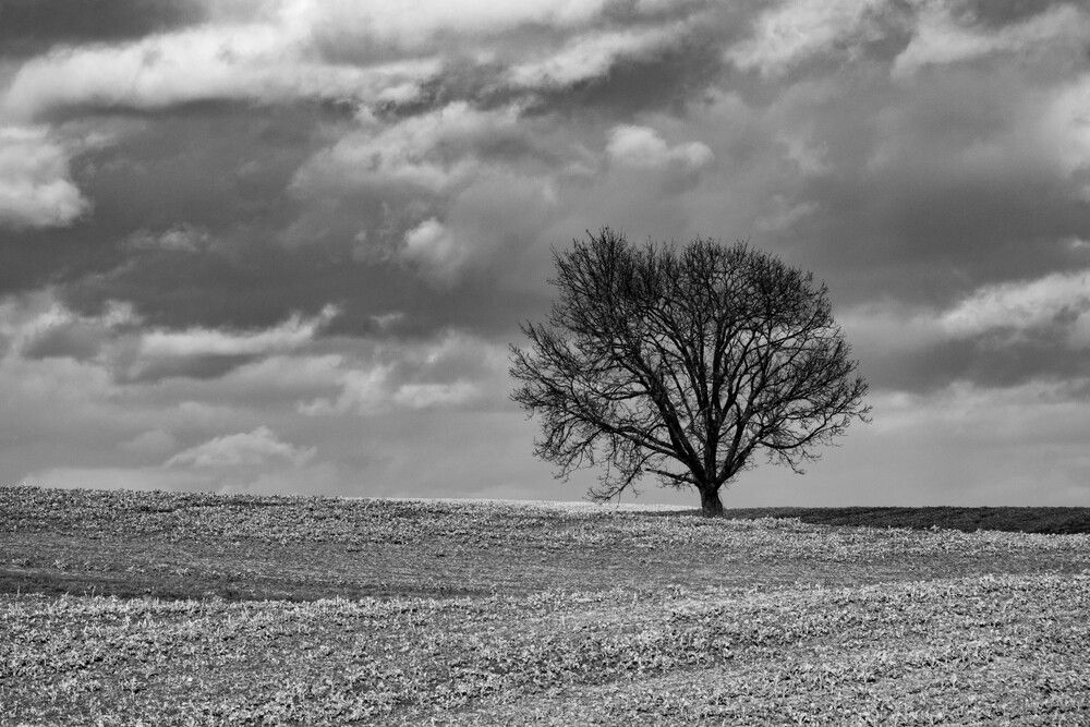 Photograph by Еловик Валерий