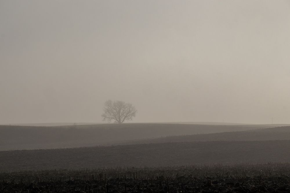 Photograph by Еловик Валерий