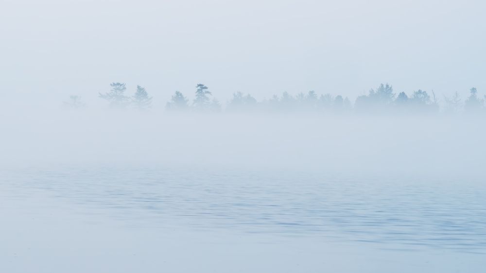 Photograph by Наталья Лабодина