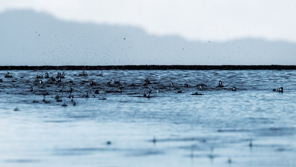 Photograph by Наталья Лабодина