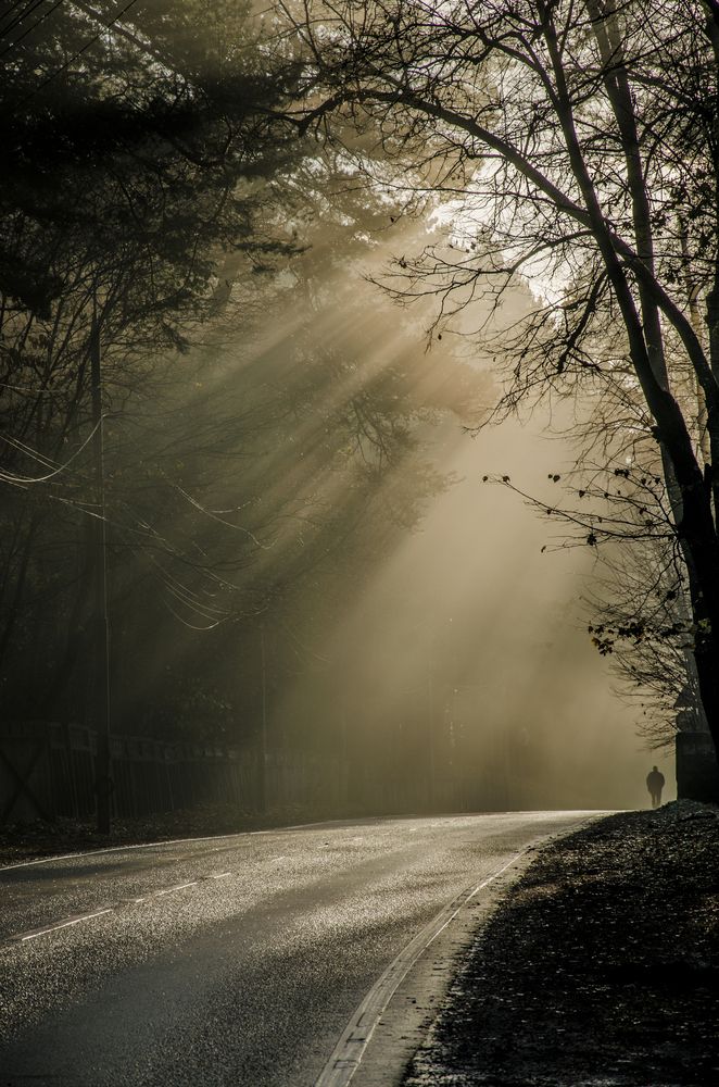 Photograph by Ольга Заповедная