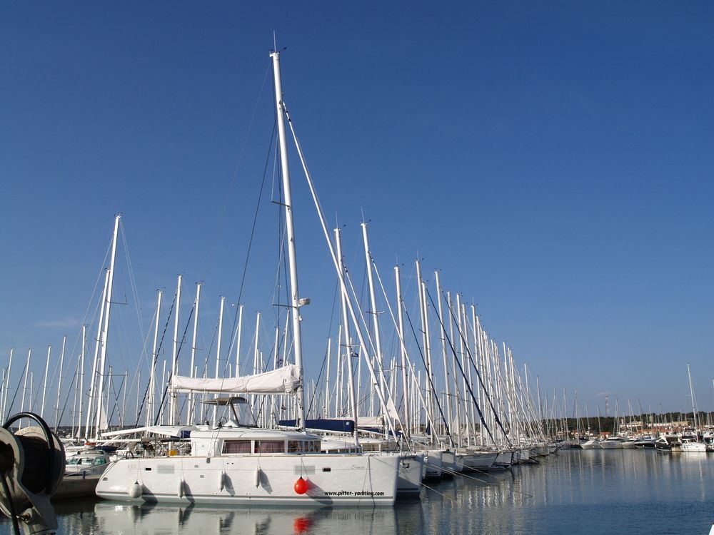 Фотография автора Dubravko Maricic