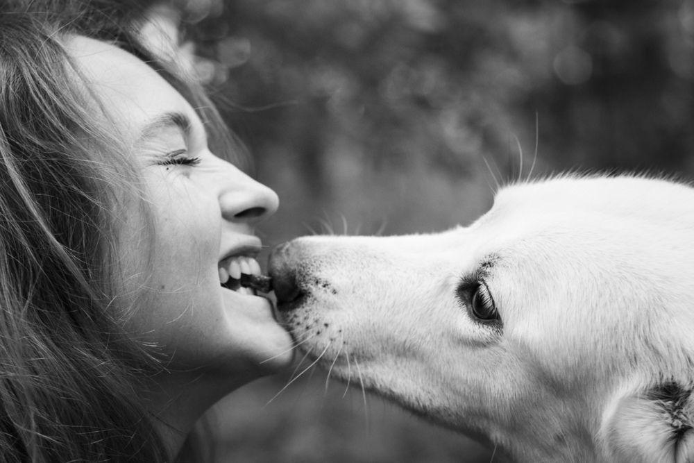 Фотография автора Елена Павлова