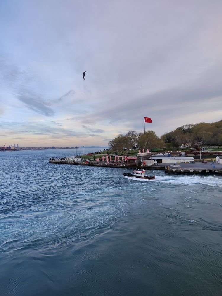 Photograph by Maksim