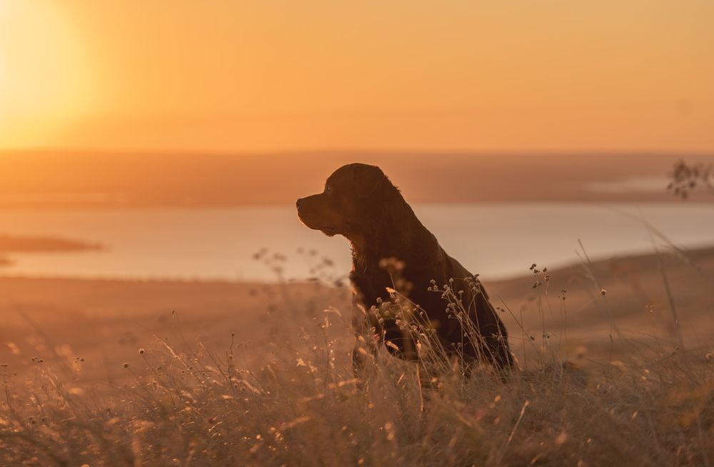 Photograph by Кудлай Яна