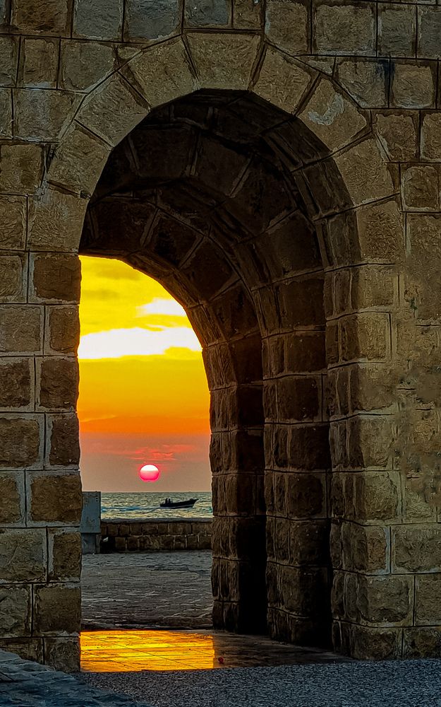 Фотография автора Mina Mohammadi.b