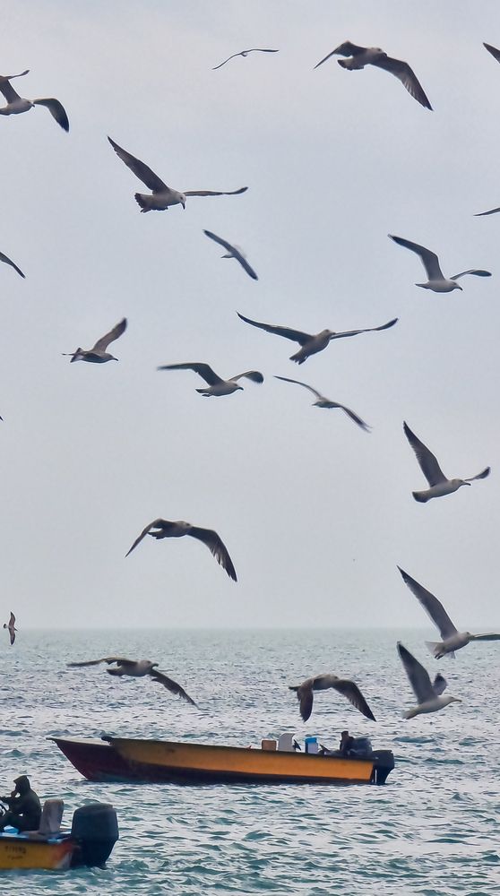 Фотография автора Mina Mohammadi.b