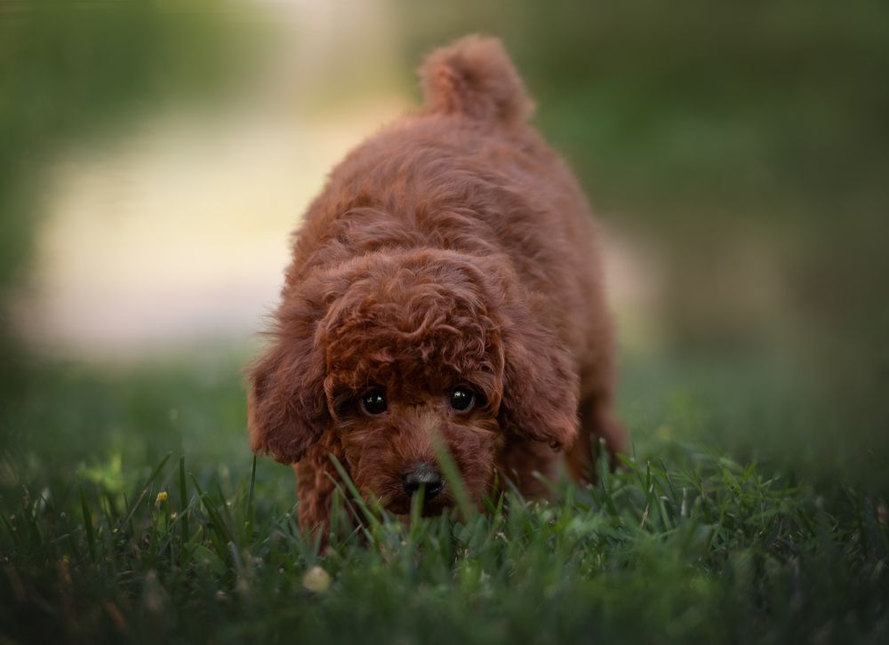 Photograph by Кудлай Яна