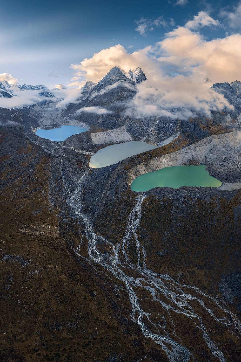 Peacock Feather Peacock Feather