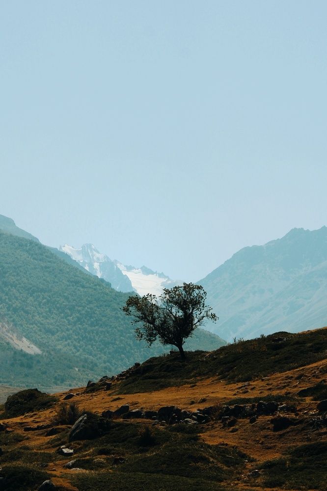 Photograph by Дарья Великодная