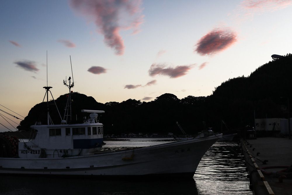 Фотография автора Bùi Nguyễn