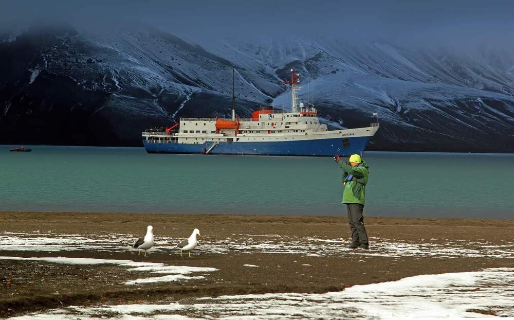 Фотография автора Subir Ghosh