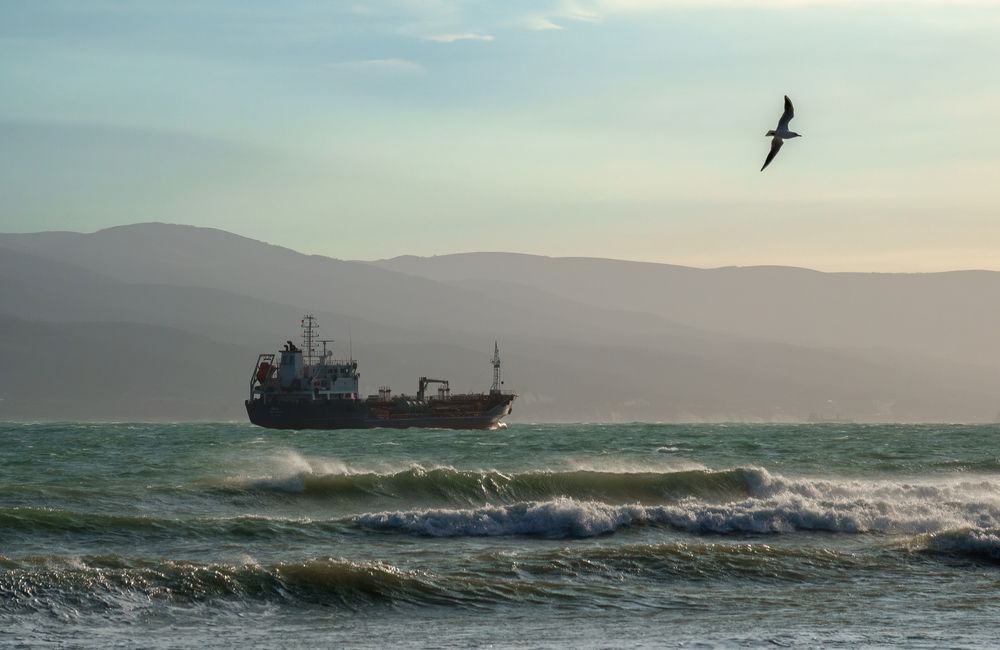 Photograph by Дмитрий Несветайлов