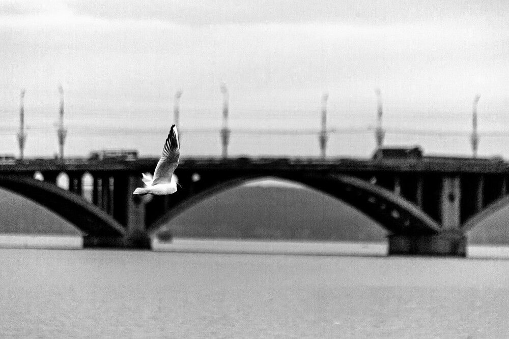 Фотография автора Елена Чиликина