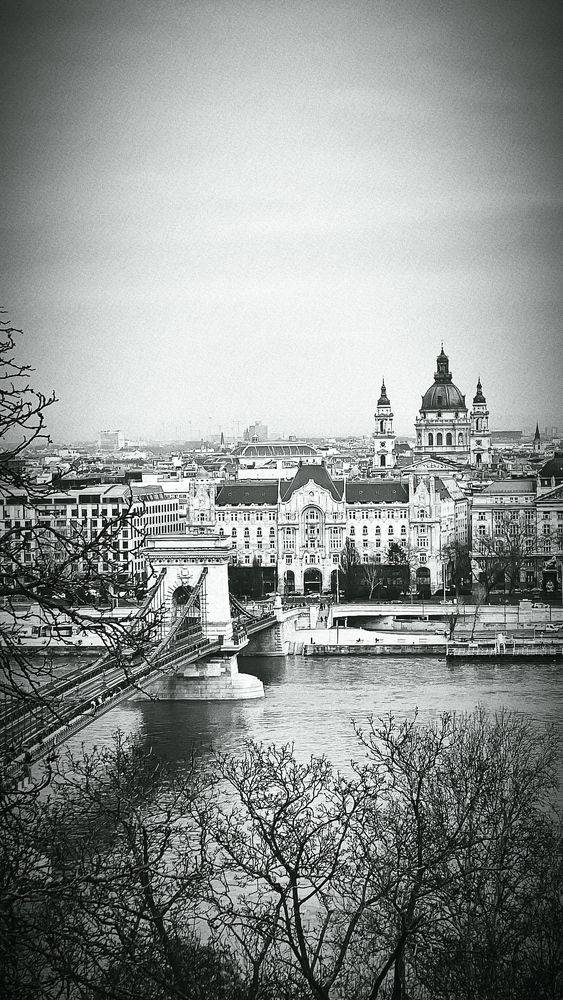 Photograph by Наталья Самород