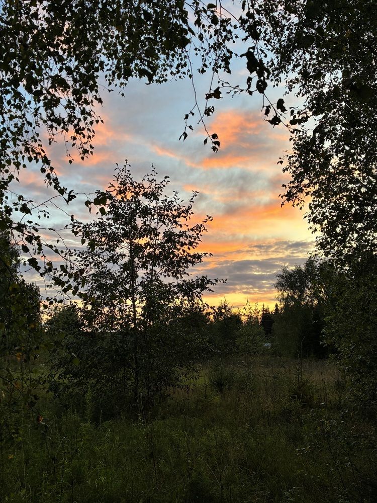 Photograph by Наталья