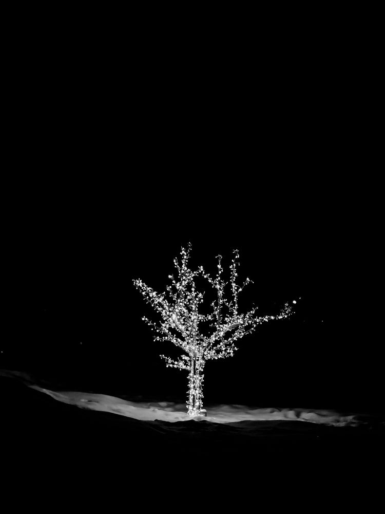 Photograph by Остапенко Юрий