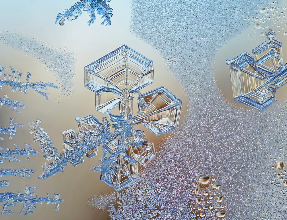 Photograph by Наталья Соколова