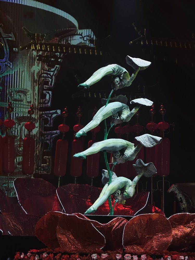 Photograph by Светлана Ионова