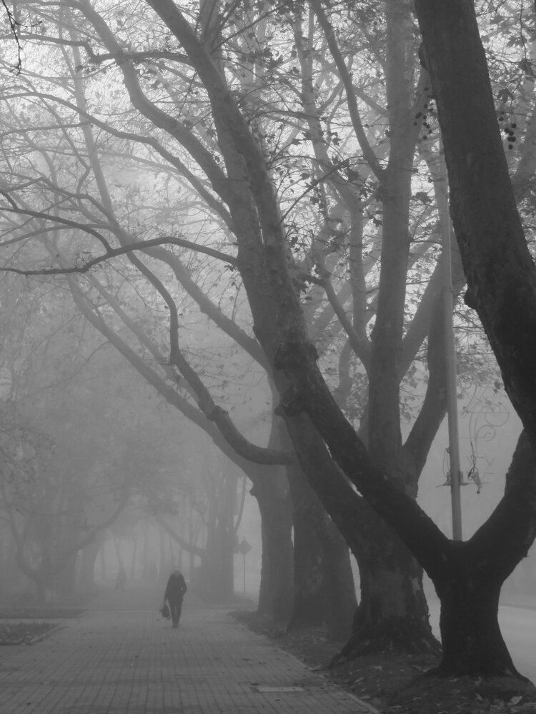 Photograph by Mila Nikolova