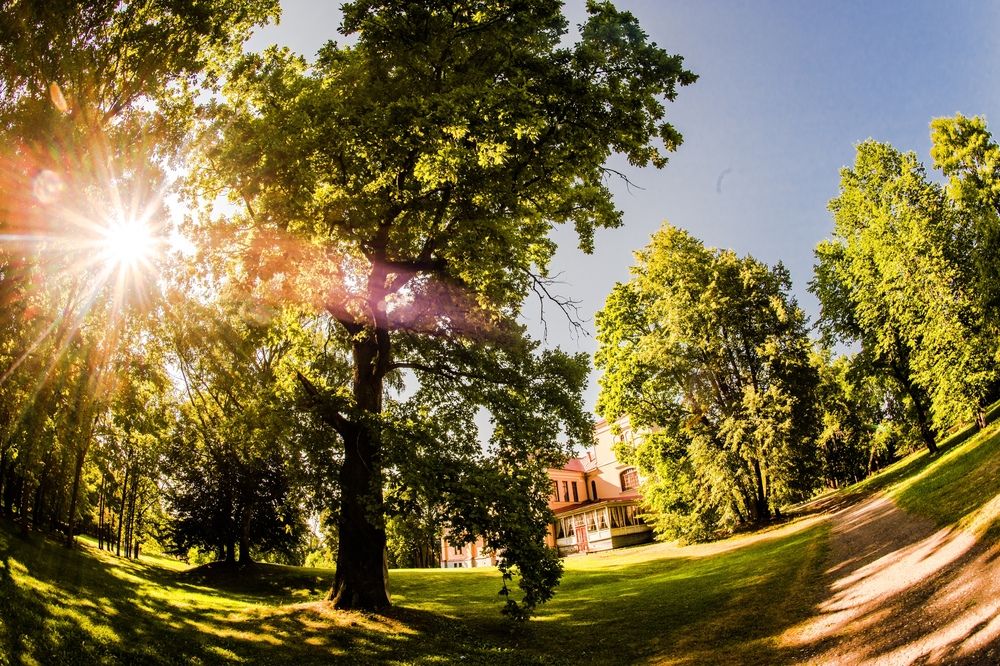 Photograph by Евгений Николаенков